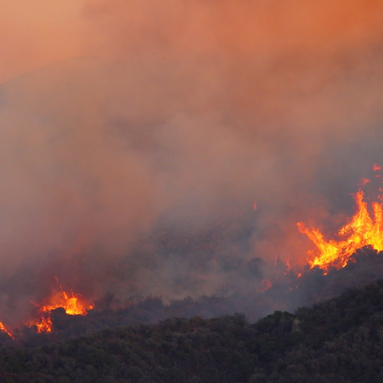 Wildfire Engulfs Hillside at Dusk A wildfire burns through hilly terrain, with flames and smoke rising against an orange sky.