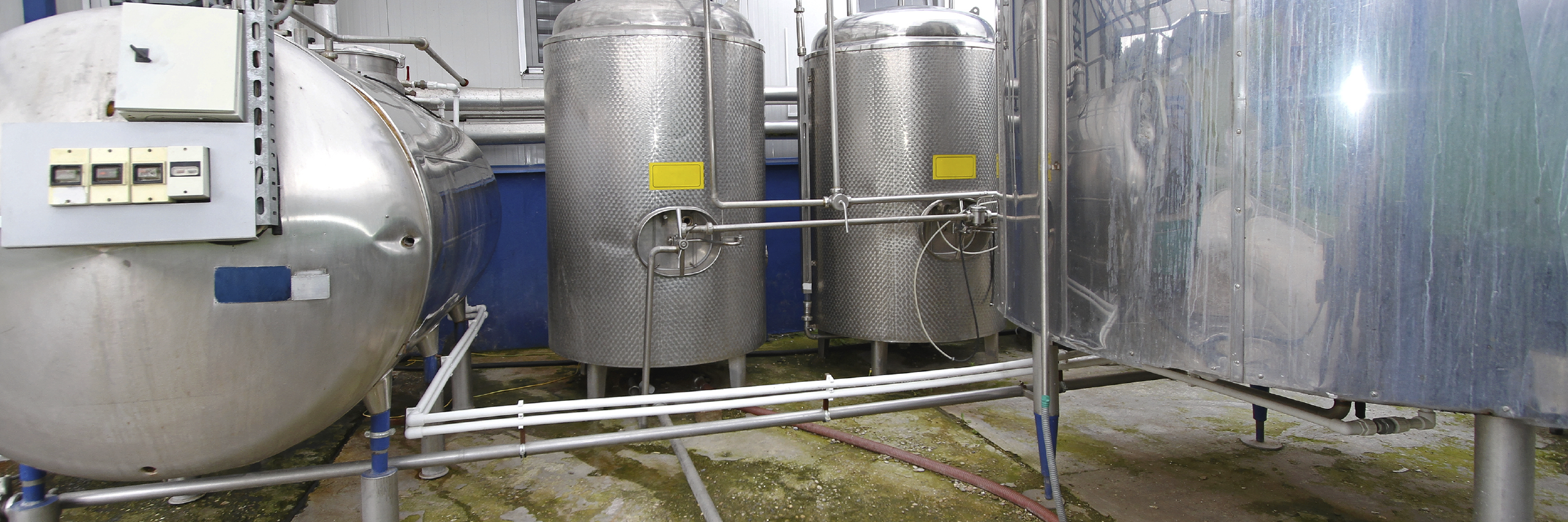 milk tanks in dairy farm