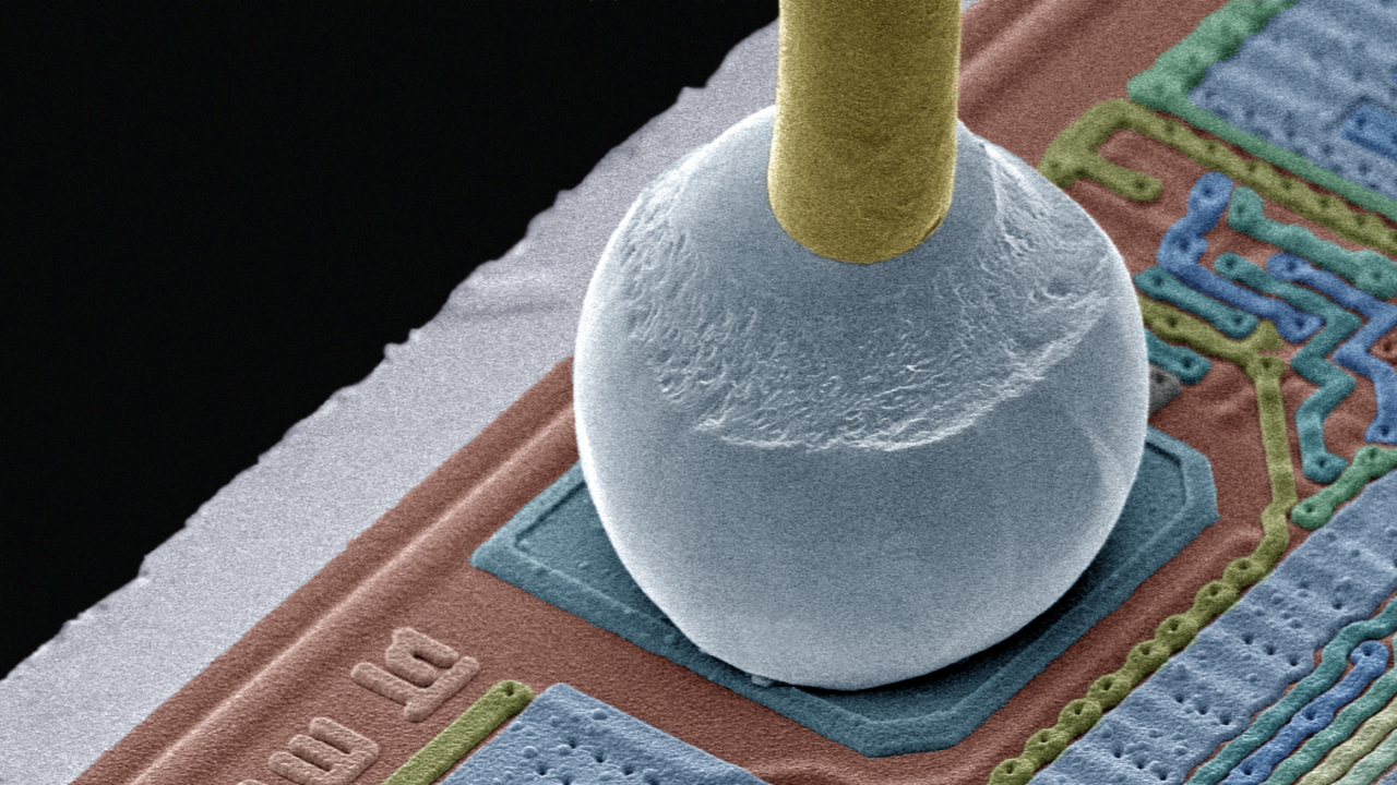 Chip connector coloured scanning electron micrograph