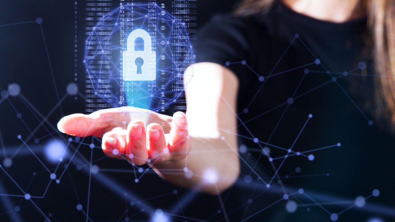 Circuit board interface with data and privacy lock