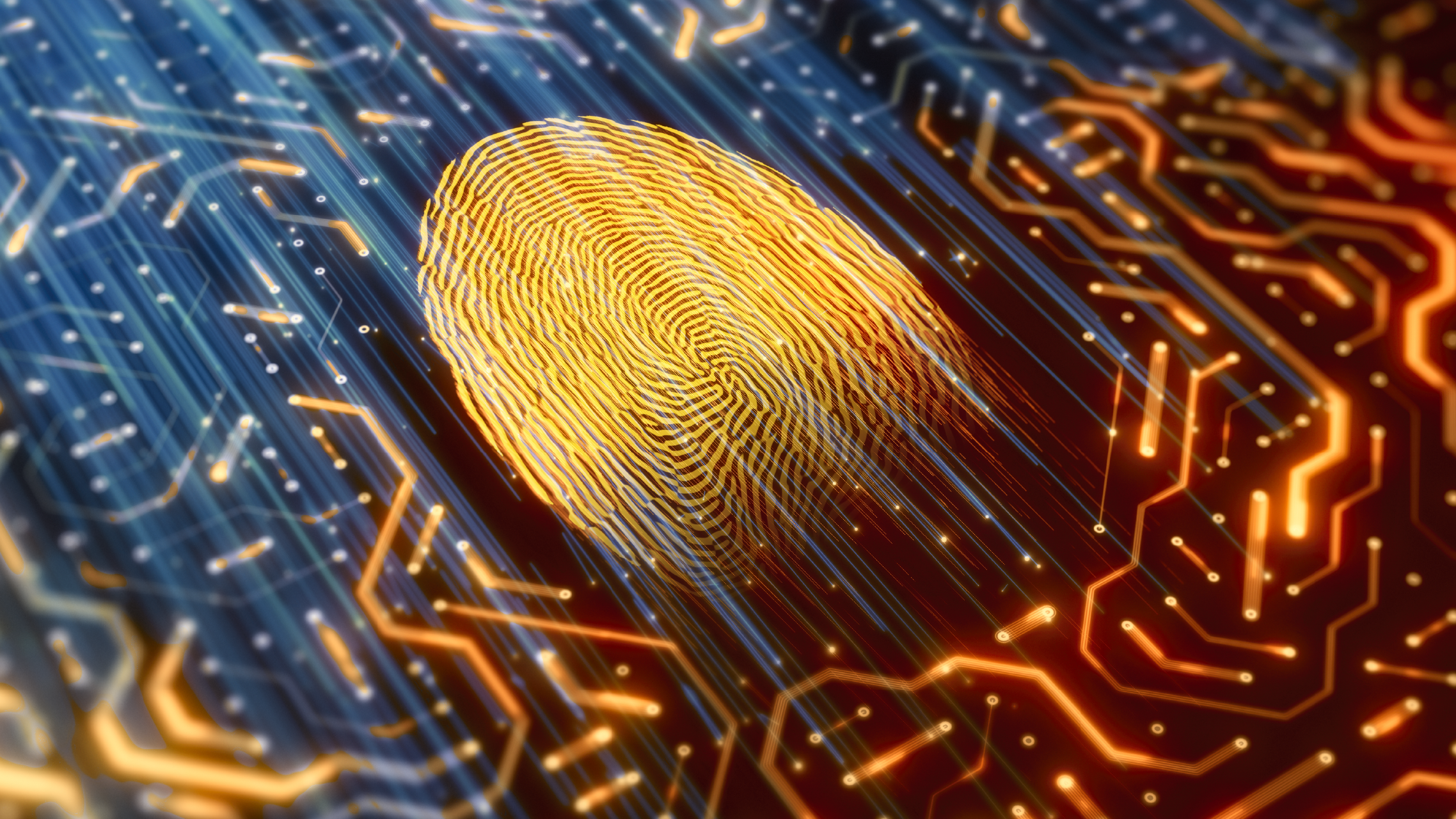 Digital identity fingerprint scanner
