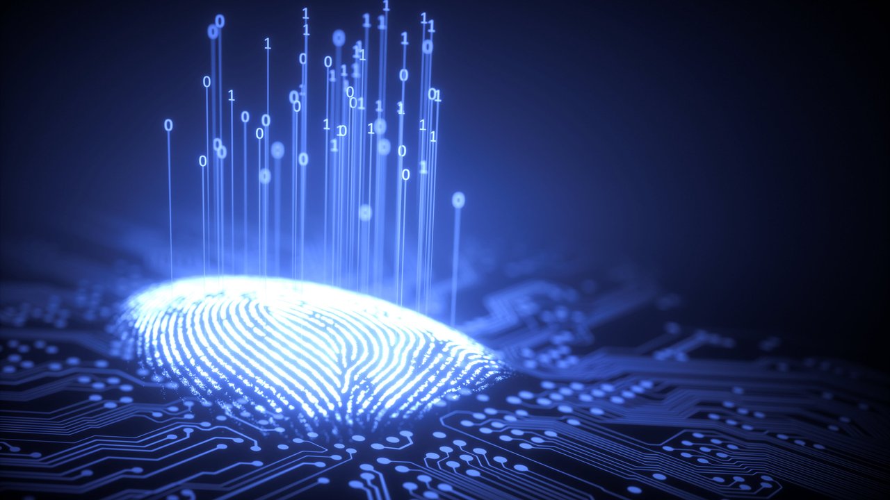 Digital fingerprint