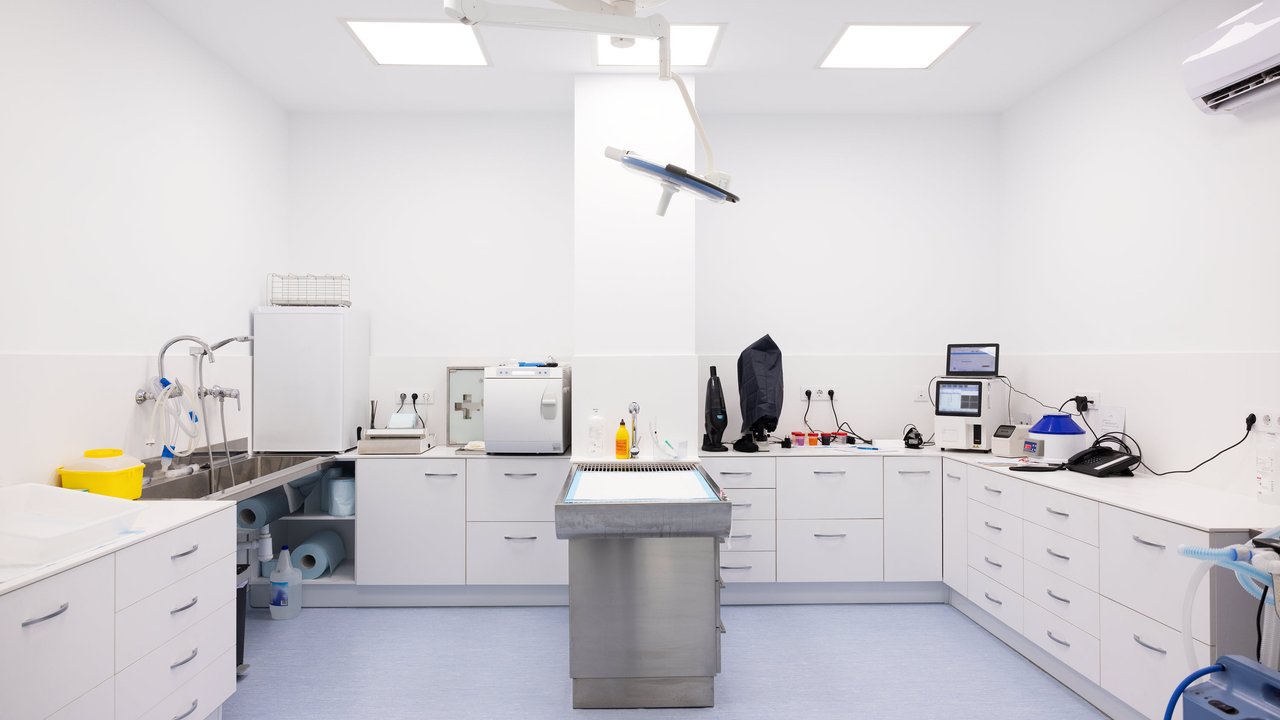 A modern veterinary clinic room with a stainless steel table, cabinets, medical equipment, and bright lighting.