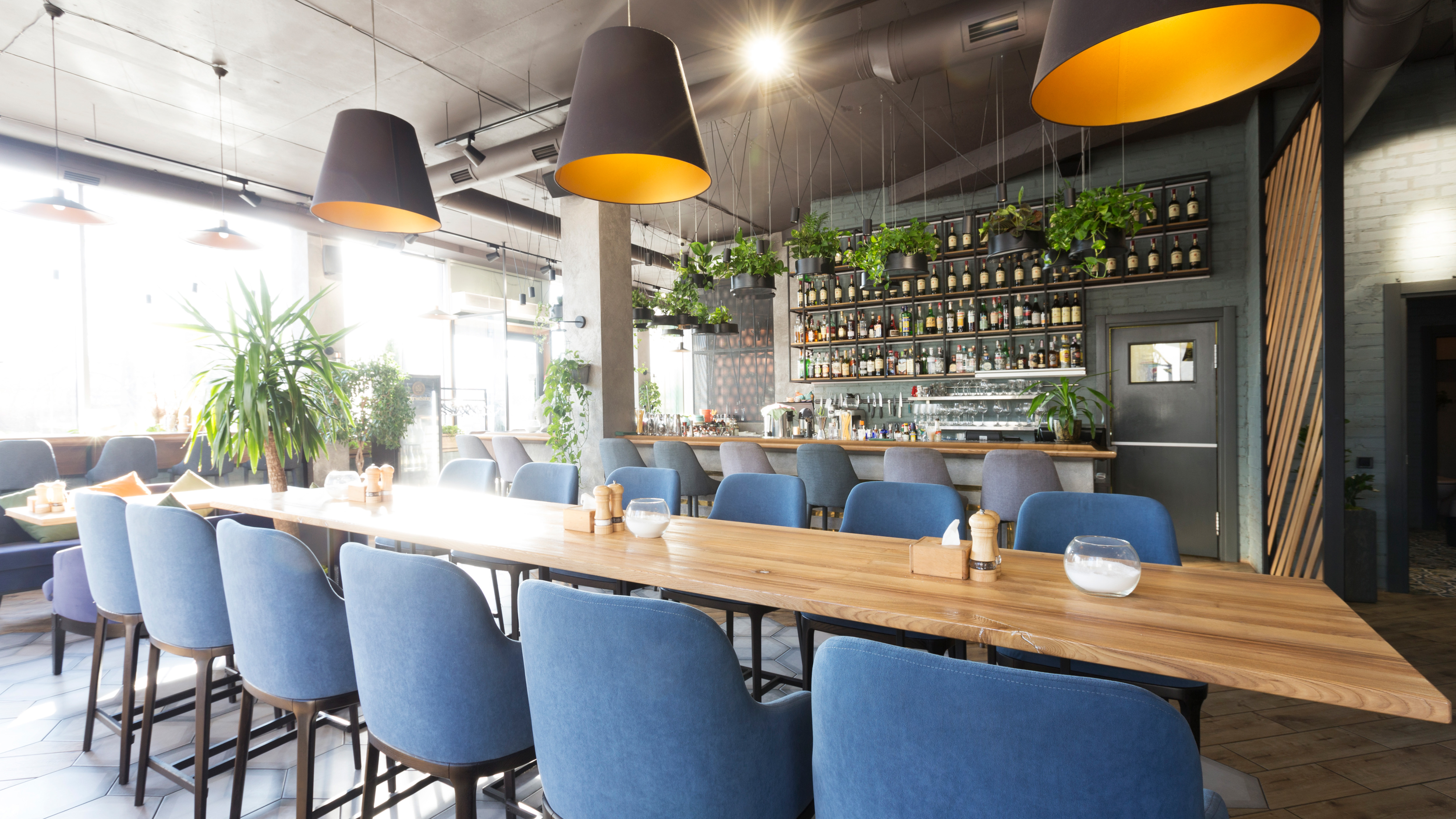  A spacious dining area features a long wooden table surrounded by plush, blue upholstered chairs. Large, modern pendant lights hang from the ceiling, illuminating the space. A wall of shelves displays various bottles, while greenery adds a fresh touch. Sunlight streams through large windows, enhancing the inviting atmosphere.