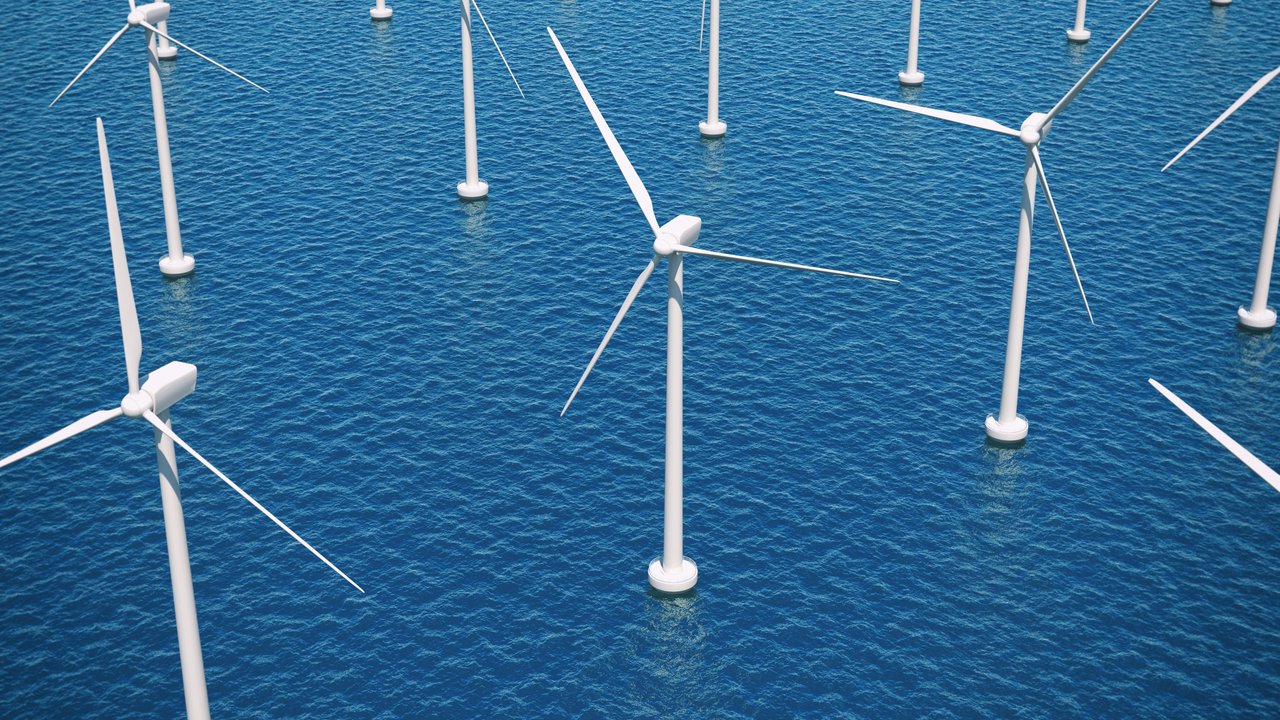 Growing profitable business while tackling climate change