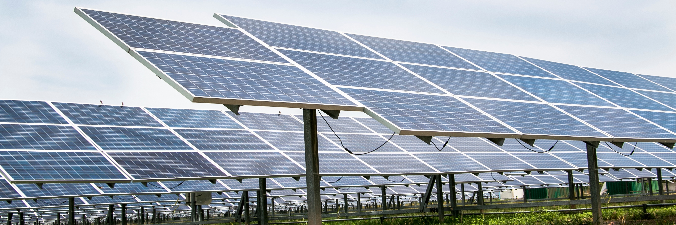 Solar cell panels farm
