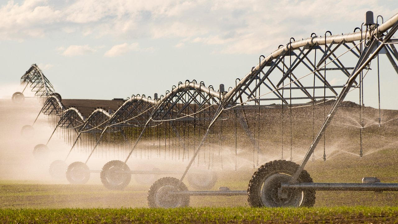 Système d'irrigation arrosant le champ de culture à la ferme