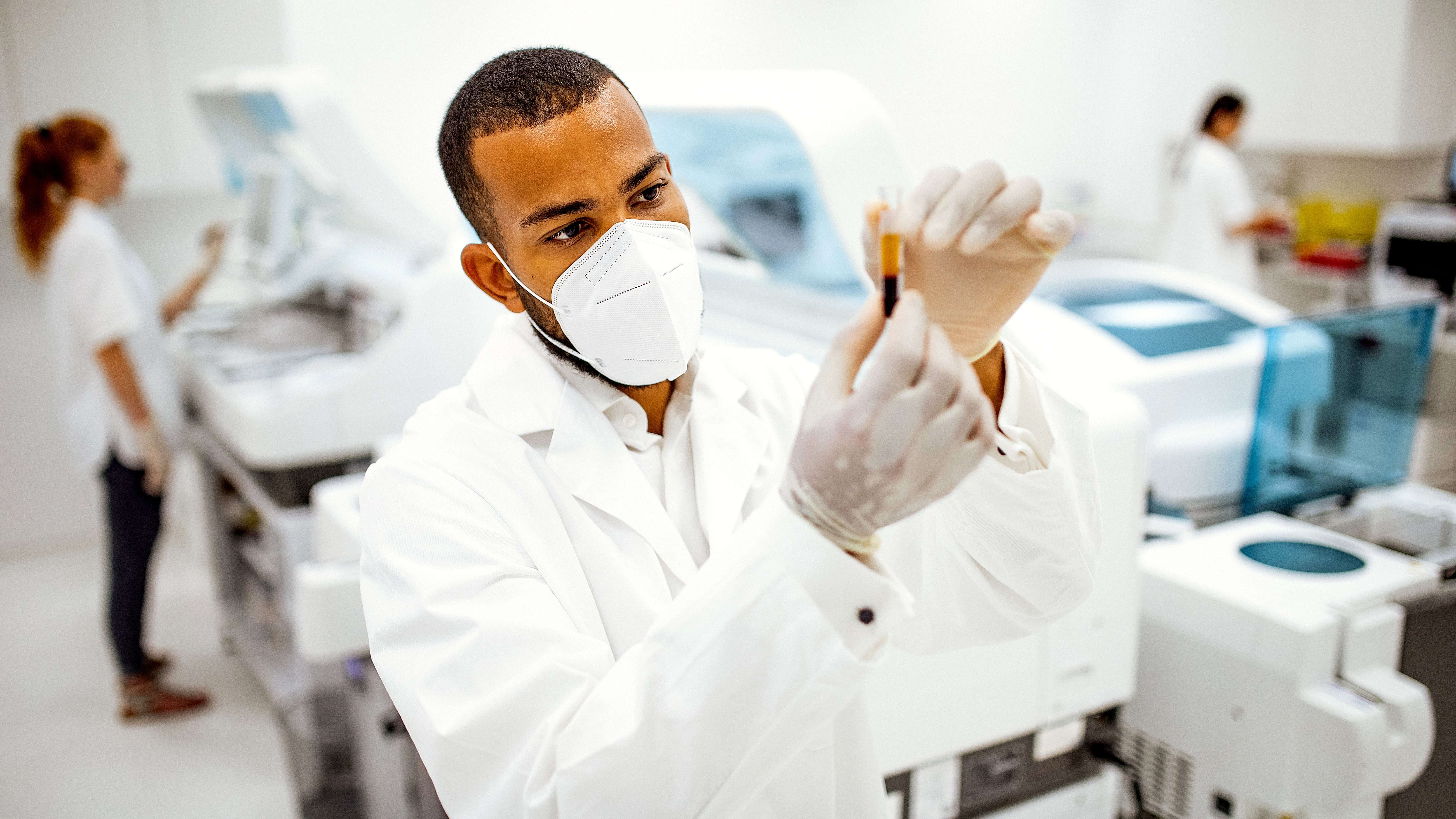 Scientists working in the laboratory