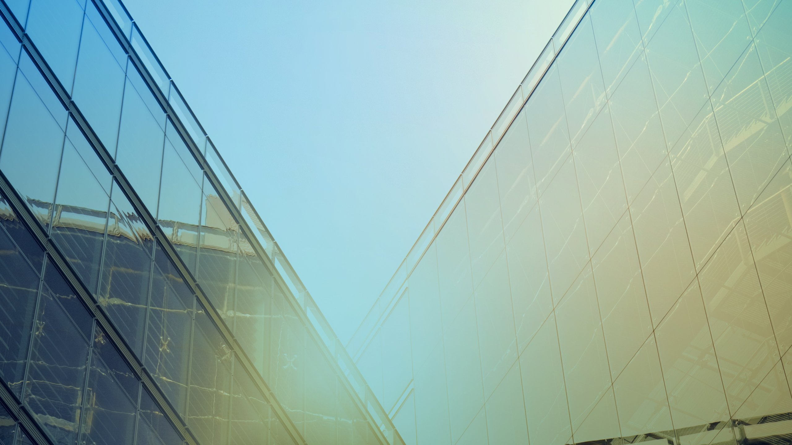 Foreign Nationals Market, international flags