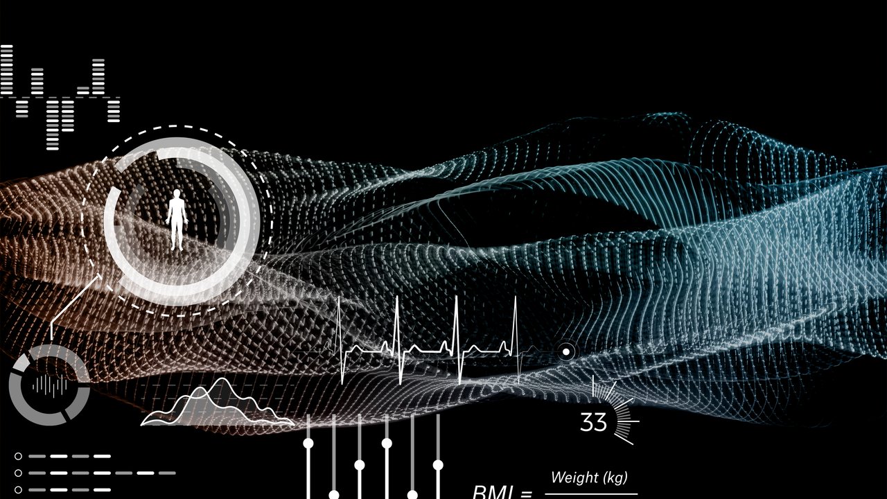 people, crowd, city, movement