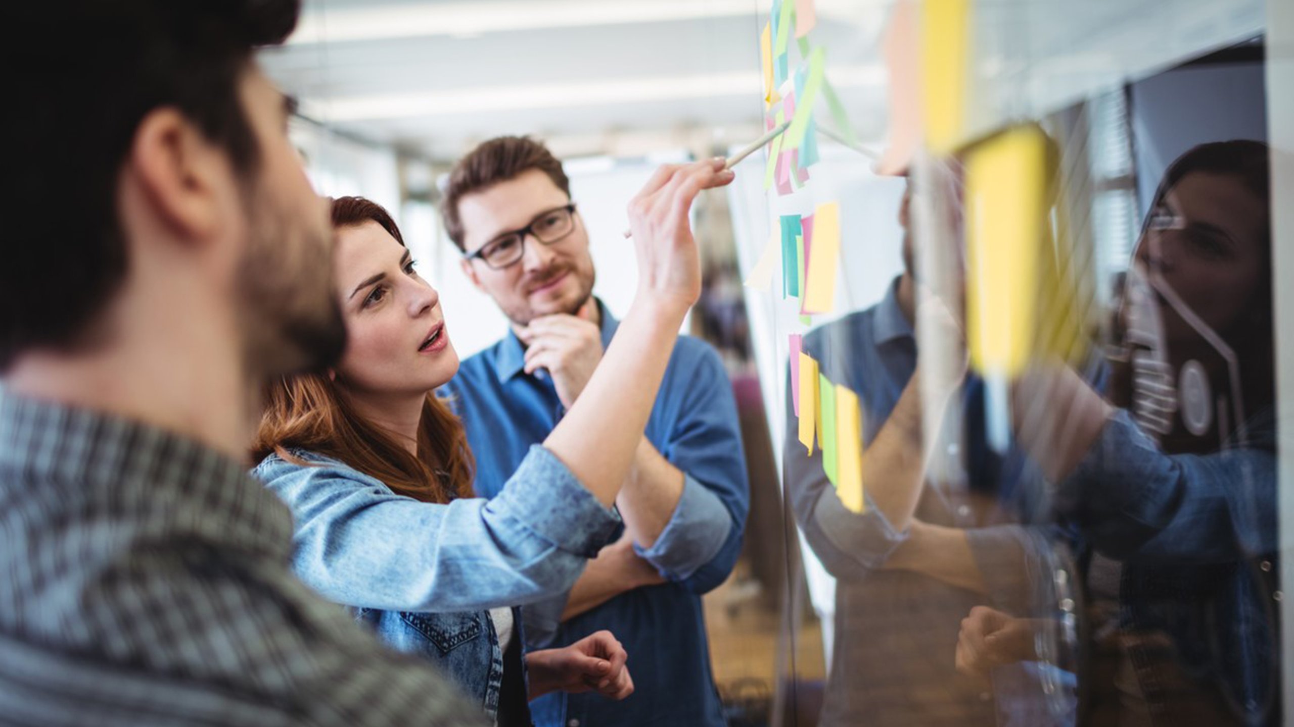 Startup, team collaboration