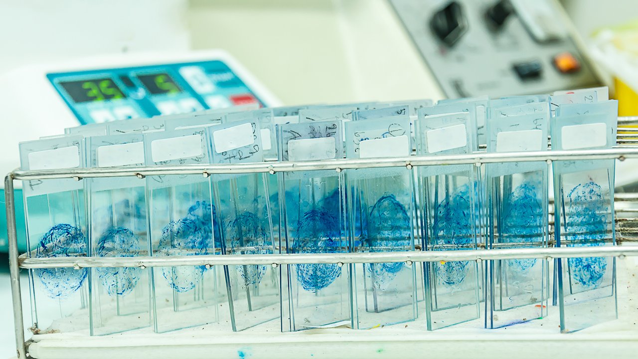 How Underwriters and Data Scientists Work Together