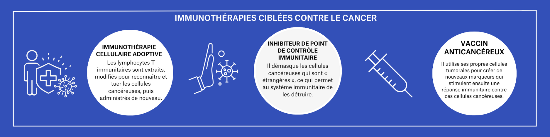 Infographic describing targeted cancer immunotherapies