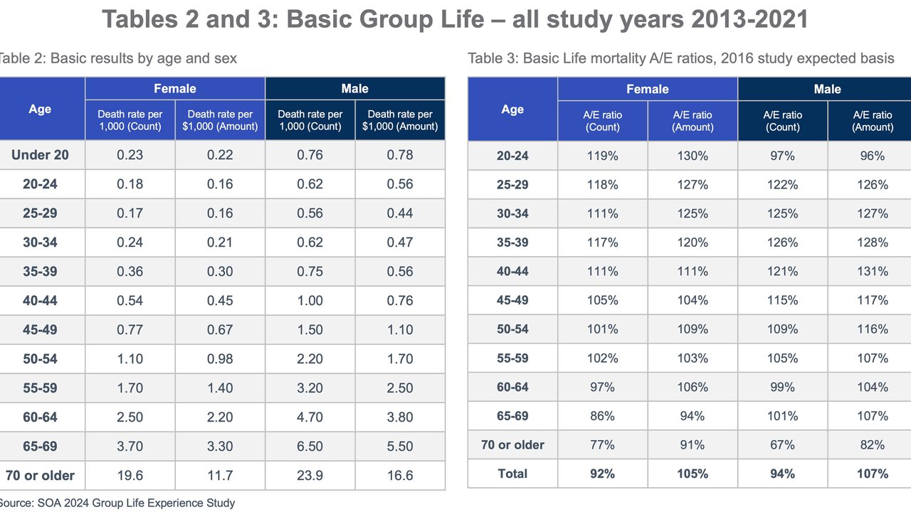 Group Life Mortality Trends - Tables 2 and 3: Basic Group Life - all study years 2013-2021
