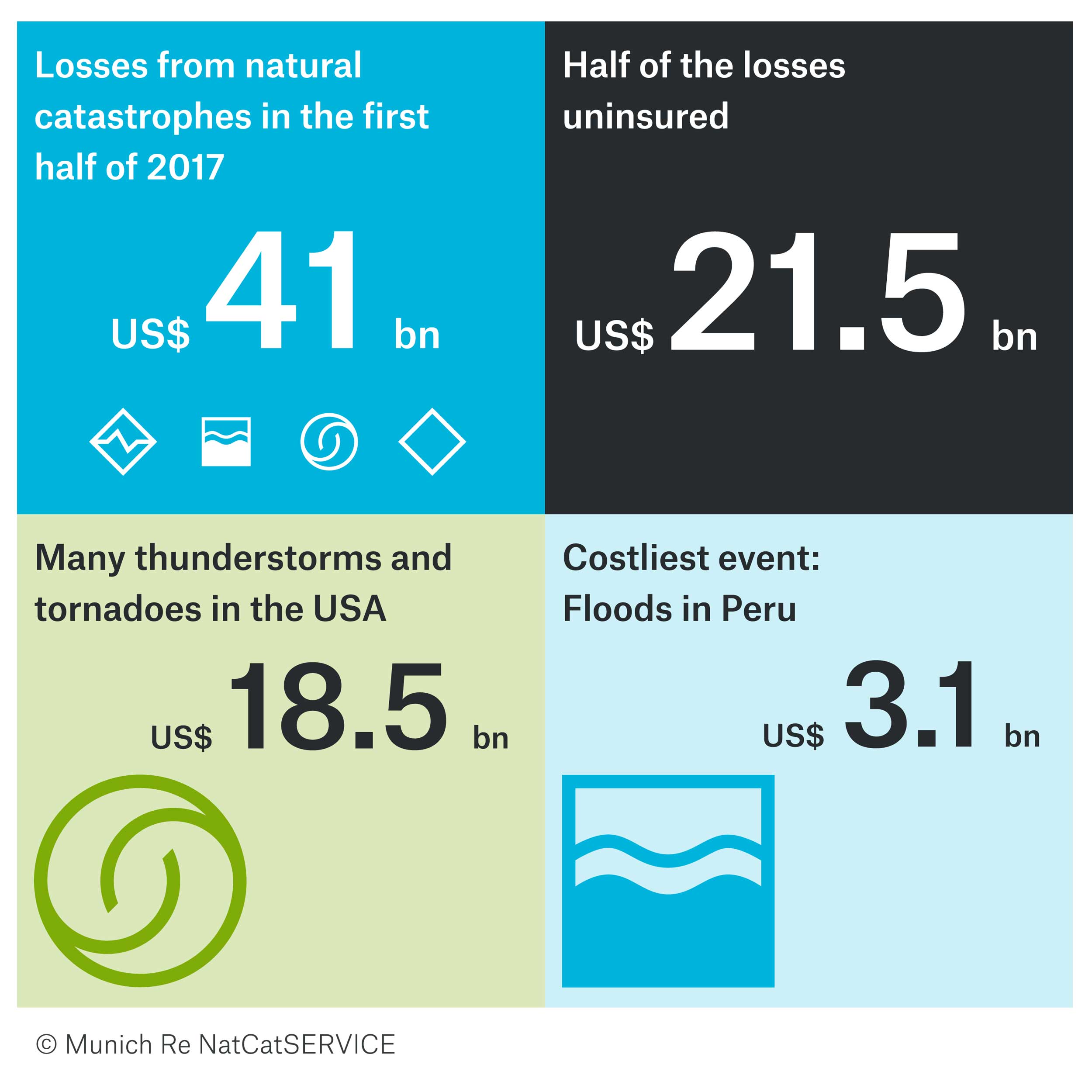 NatCatSERVICE Infographic 