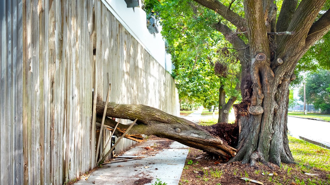 FAIR Plan wrap Special Form based coverage for California commercial property owners