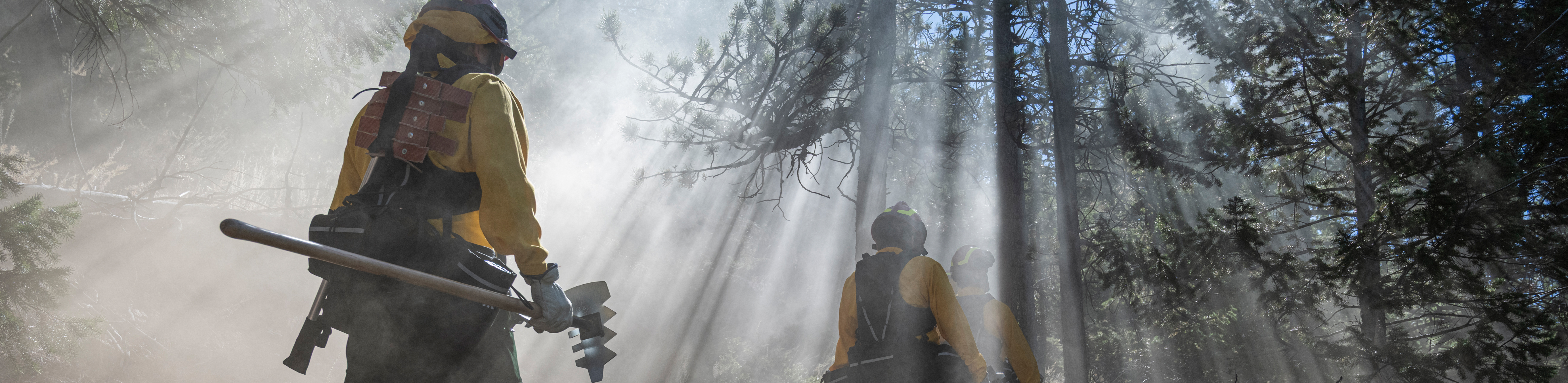 Two firefighters in yellow gear work in a smoky forest, surrounded by trees and sunlight filtering through the haze.