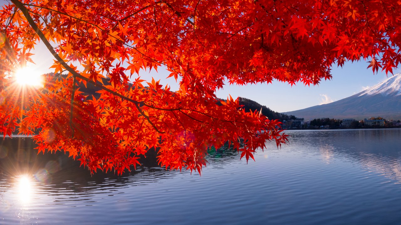 Mt Fuji in autumn view from lake Kawaguchiko