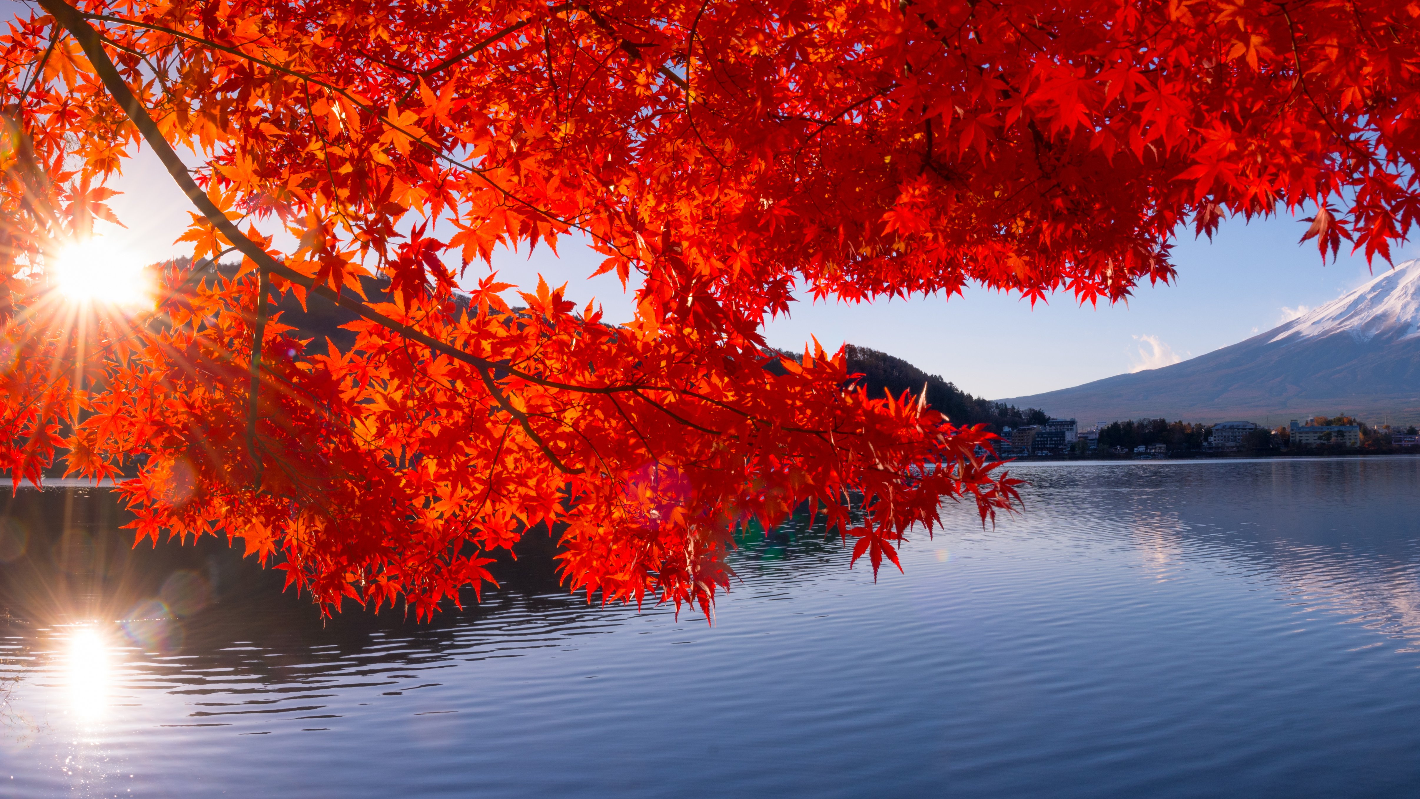 Mt Fuji in autumn view from lake Kawaguchiko