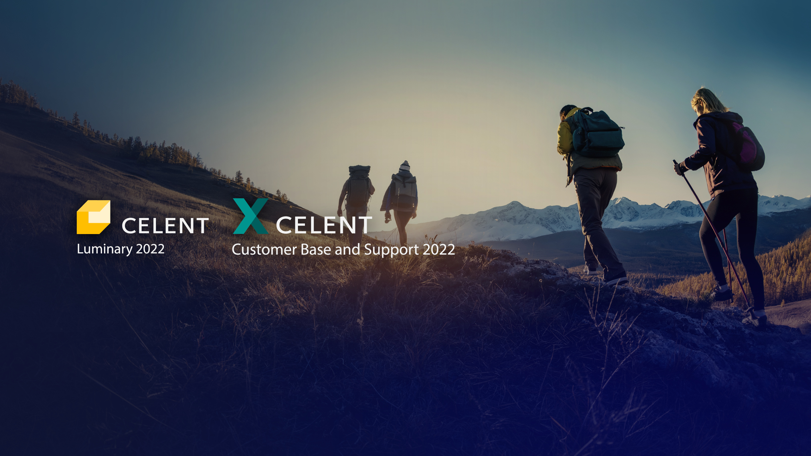 s CELENT Awards Website2.jpg