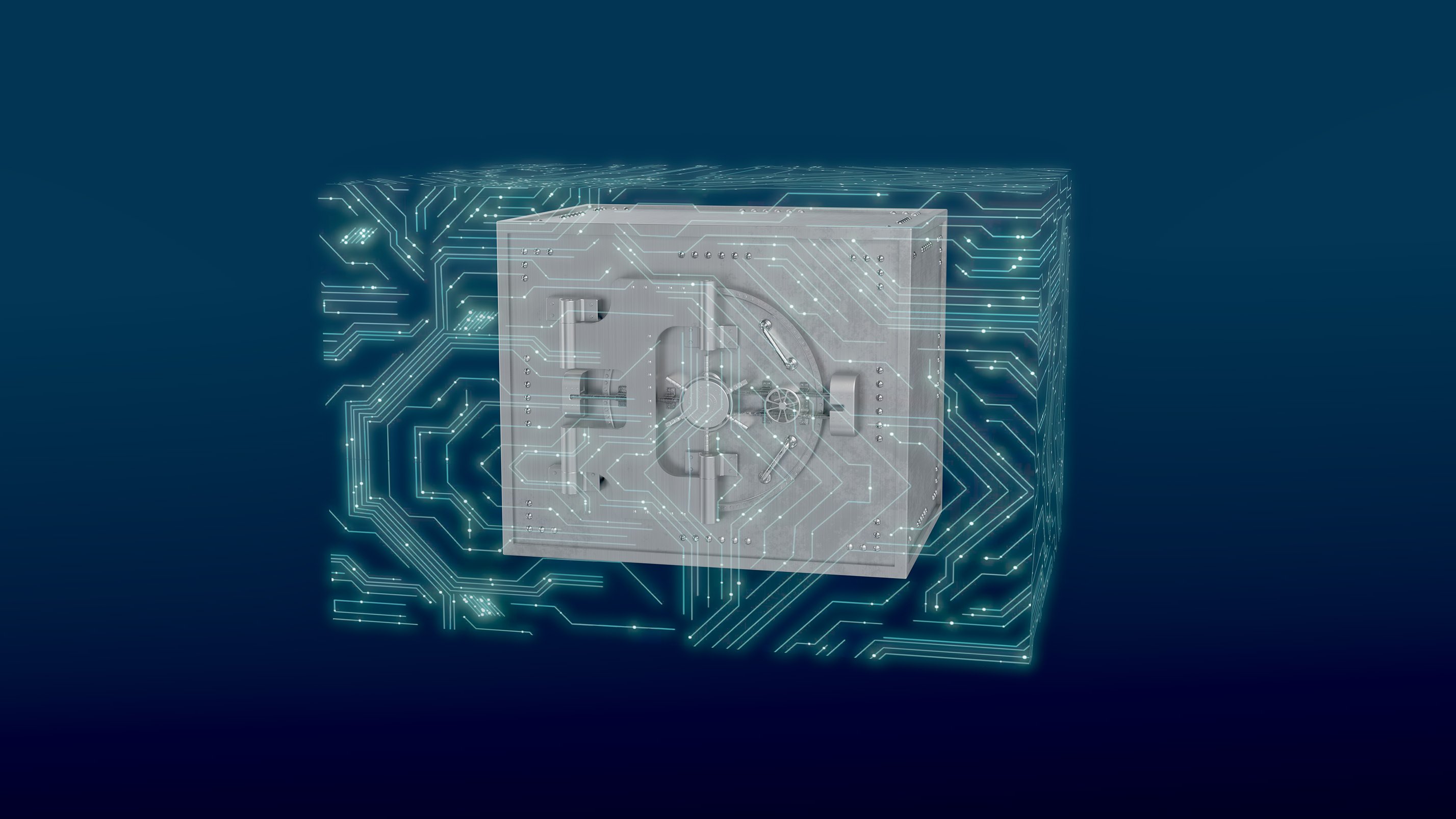 Digital Asset Protection