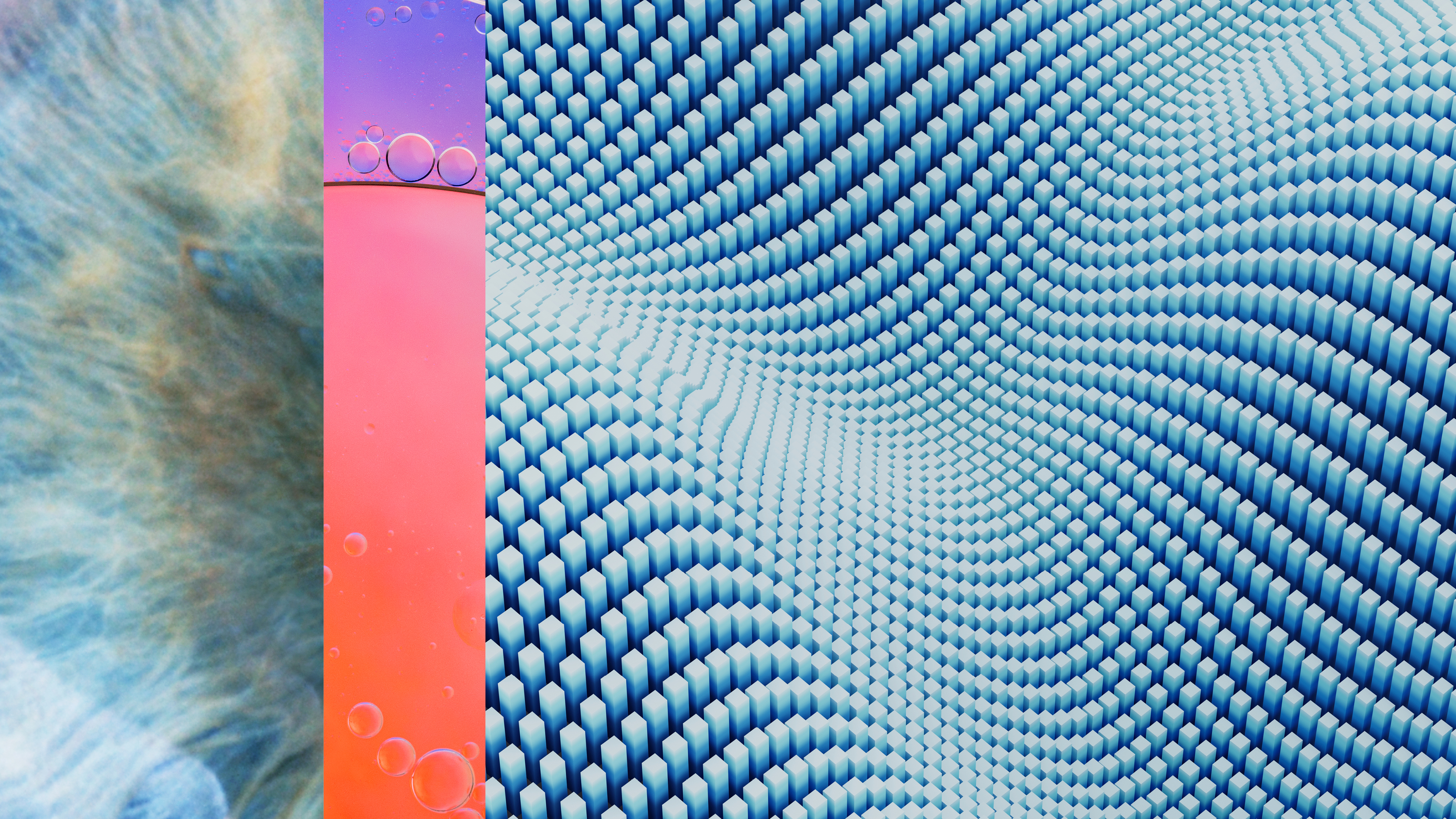 Dynamic Risk Calculator Pro Dynamic Risk Calculator Pro