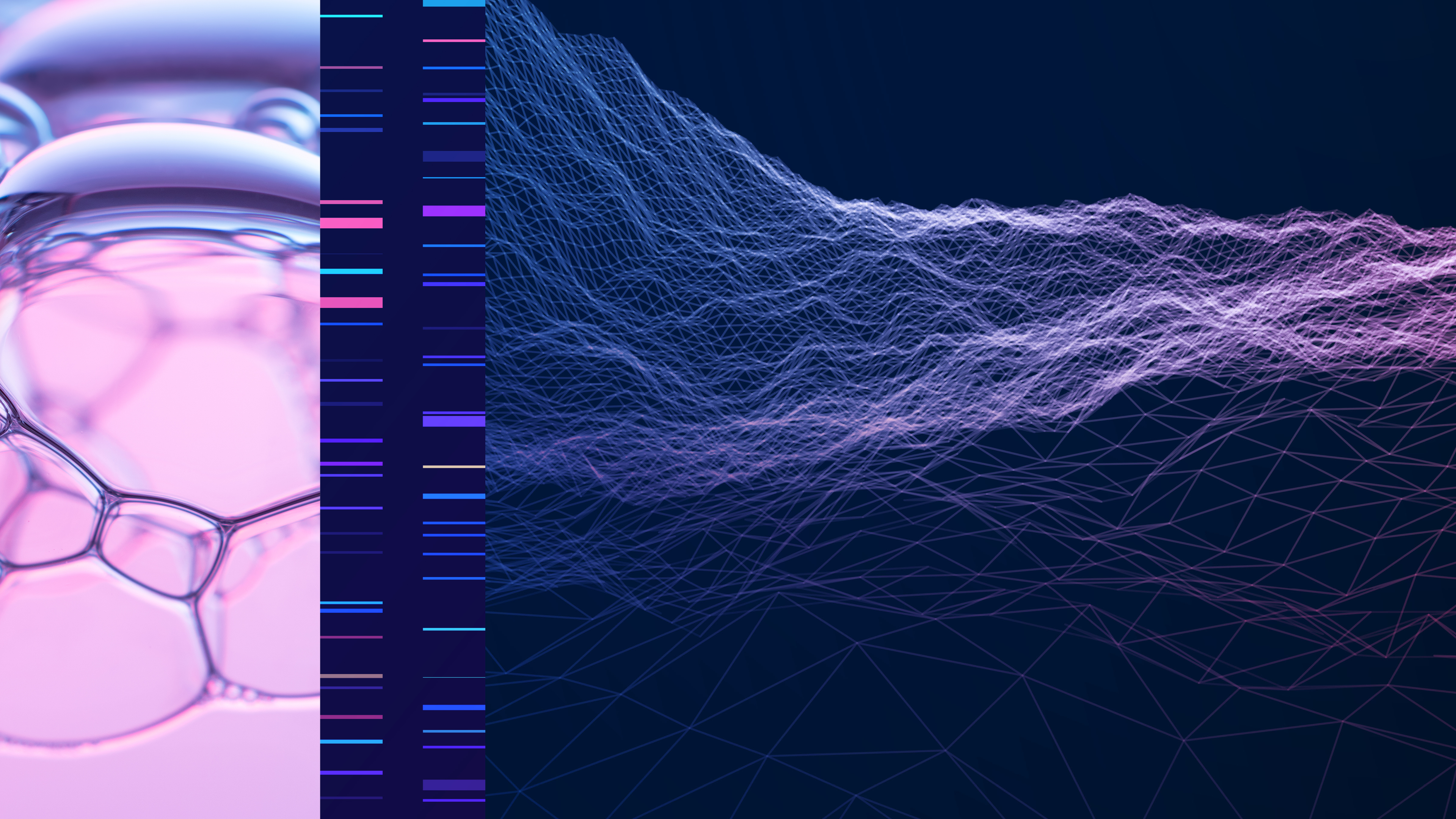 Munich Re at Asian Actuarial Conference 2024