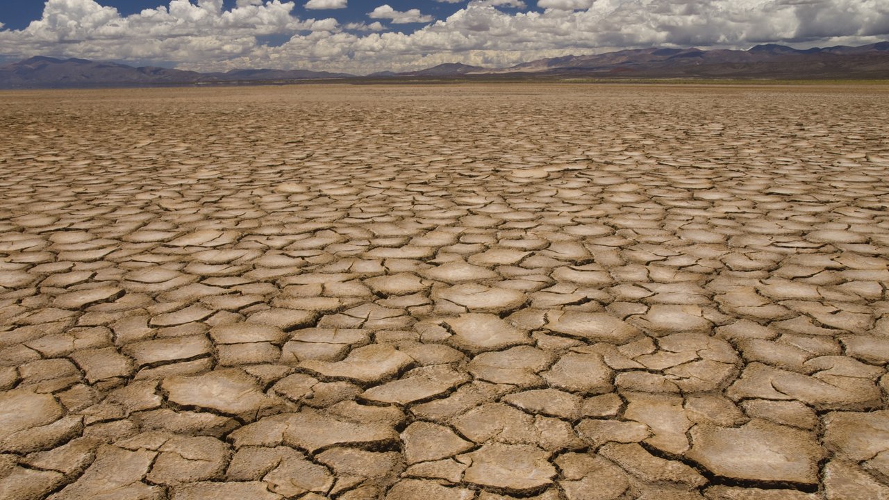 Drought cracked field 