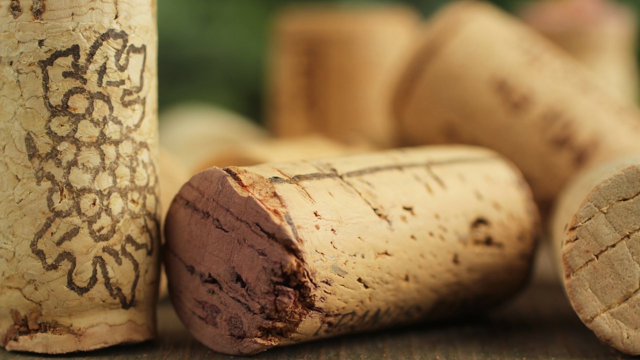 Roanoke Impact Insurance – The Q-Policy Roanoke Impact Insurance – The Q-Policy