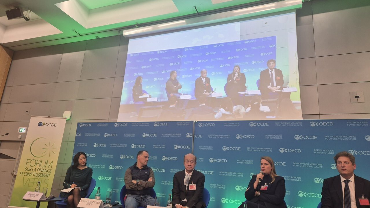A panel discussion at an OECD event with multiple speakers seated, a screen displaying the event in the background.