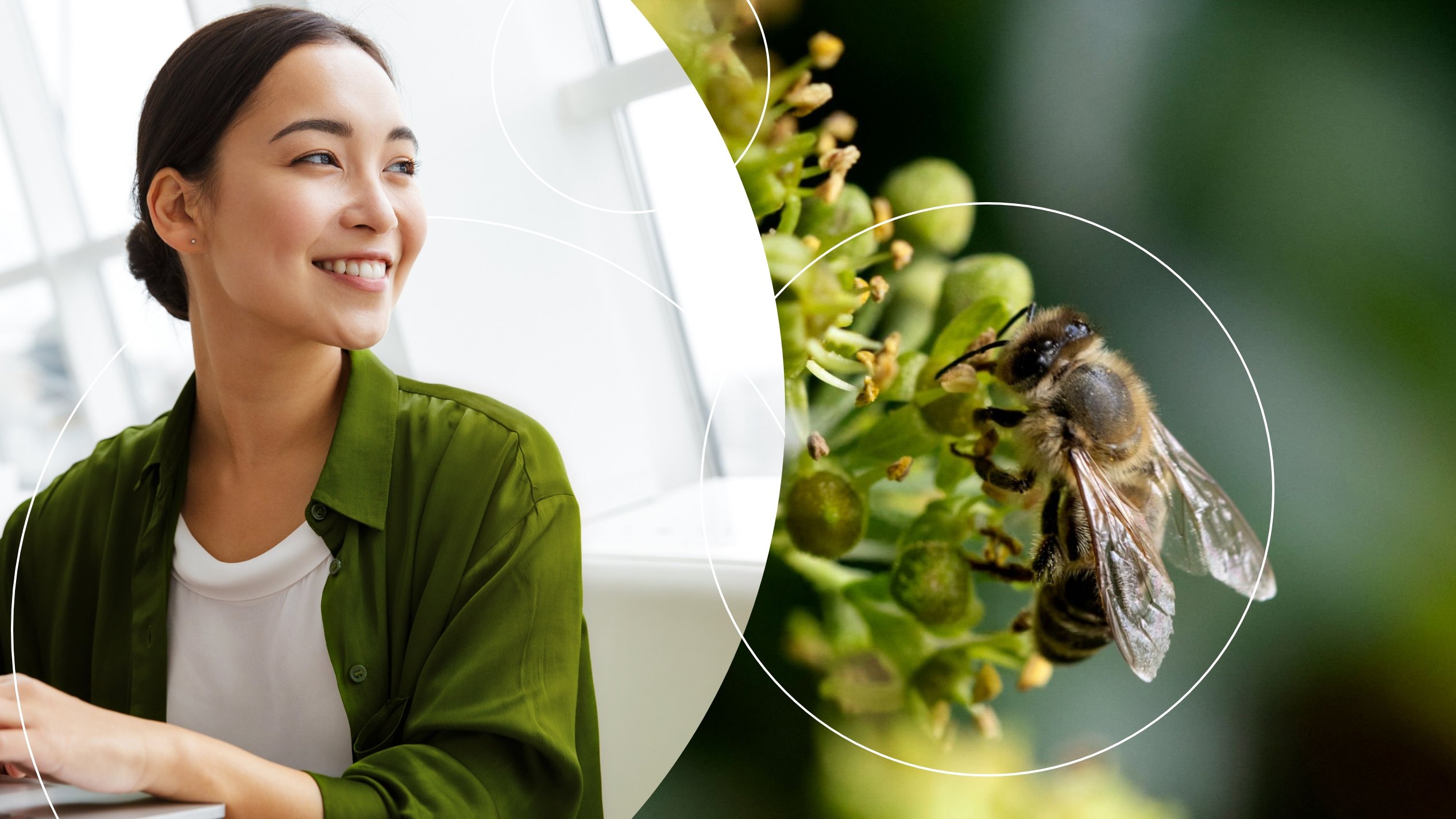 A person in a green shirt sits at a laptop, with a close-up of a bee on a flower in the background.